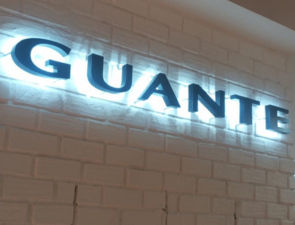 Guante